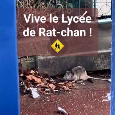 Compte de mobilisation des professeurs du Lycée de Cachan (94).

En lutte pour un service public d'éducation de qualité.