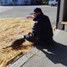 umaya55's profile picture. 競走馬(サラブレッド)の生産牧場です。
牧場の日常を中心に。
無言フォローは笑って許して下さい。

日々勉強。　日々健康。　日々感謝。

がんばれ日本！　ふんばれ日本！