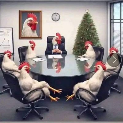 Aidamodel218725's profile picture. 