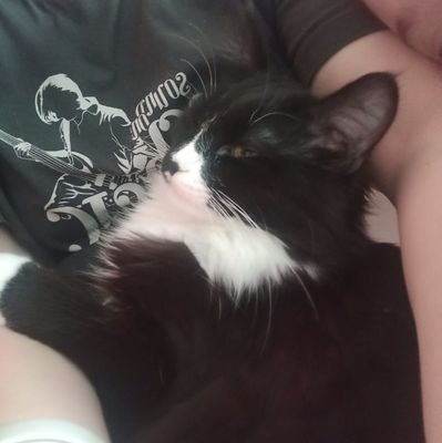 tsapree's profile picture. In #git we trust