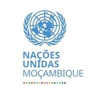 ONU Moçambique(@ONUMocambique) 's Twitter Profileg