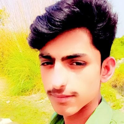 Shahzaibjutt011's profile picture. Love is life 🧬