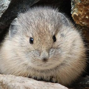 t5590310's profile picture. new gamer here