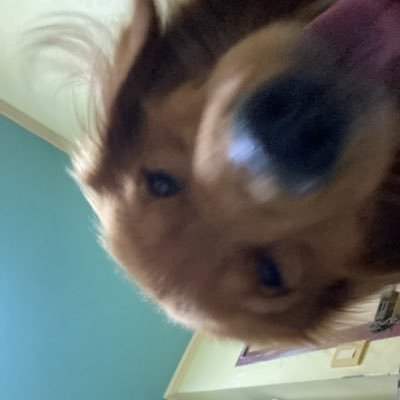 _marcguinto's profile picture. 