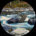 💦德川加湯 (@taipeisoup) Twitter profile photo 💦德川加湯 (@taipeisoup) Twitter profile photo
