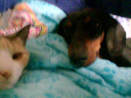 juli_novoa's profile picture. Comunicadora por pasion