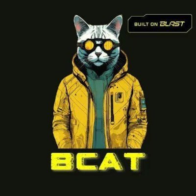 BlastCatcat's profile picture. $BCAT is the first meme coin on @Blast_L2 to bring adoption into the ecosystem!
0 tax! | https://t.co/2Z2SVLEzWy | https://t.co/4hQVJoFFze