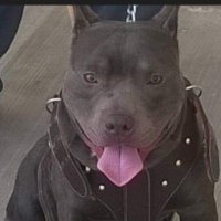 joss (@joss1760143) 's Twitter Profile