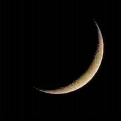 MohamedAbd54966's profile picture. 