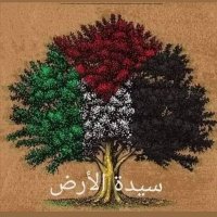 الحساب الثالثSherif Alsherif(@SherifAlsh36846) 's Twitter Profile Photo