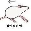 김이름은 비워둘 수 있습니다さんのプロフィール画像