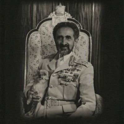 mojazchair's profile picture. Reggae Lunatic