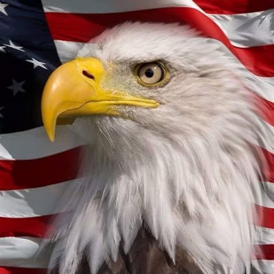 theugleguy's profile picture. 🇺🇸| Veteran 🦅🌎⚓️| realist | Freedom lover | $stocks