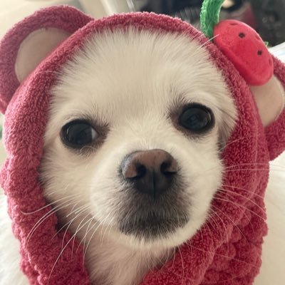 SeanWhen's profile picture. 