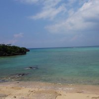 はさみ (@hasami1804) 's Twitter Profile