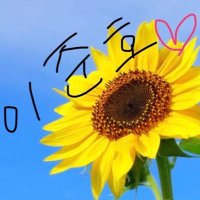 チロル🐧 (@chiroru_0125) 's Twitter Profile