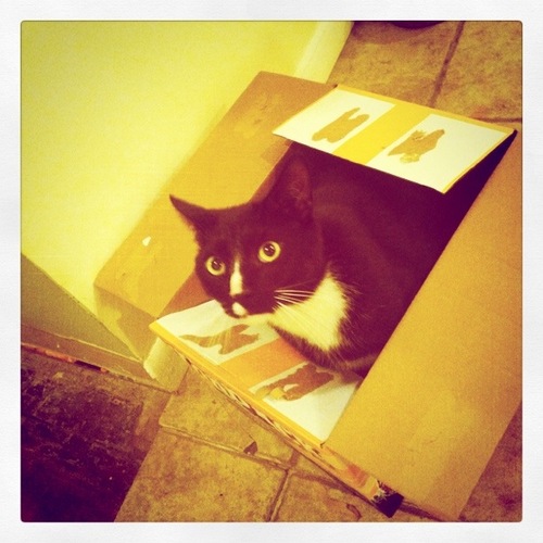 kendralebo's profile picture. 