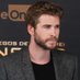 Liam hemsworth (@hemsworth62477) Twitter profile photo