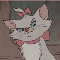 miz🤍 (@mizifyxo) 's Twitter Profile