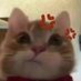 🐱. (@rtb1574536) Twitter profile photo 🐱. (@rtb1574536) Twitter profile photo