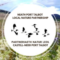 Neath Port Talbot Local Nature Partnership(@nptlnp) 's Twitter Profile Photo