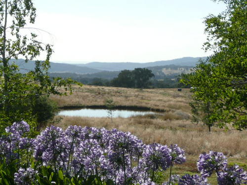 Hiding from the world in Wooragee and loving the peace, tranquility and views!
