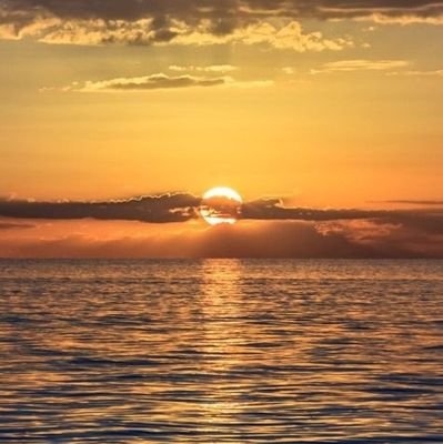 francesadu404's profile picture. 