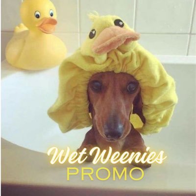 Keep your weenies wet with the hottest 𝙁𝙍𝙀𝙀 babes on OF 💦 • DM FOR PROMO+GG 💛