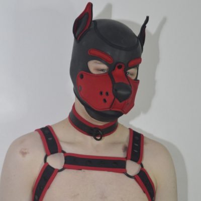 20 gay pup certified cutie switch under 18 or blank get blocked dm’s open and a good boy 😇