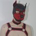 Pup_Zander (@certified_cuite) Twitter profile photo Pup_Zander (@certified_cuite) Twitter profile photo