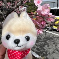 まさをん (@masawoon_16) 's Twitter Profile Photo