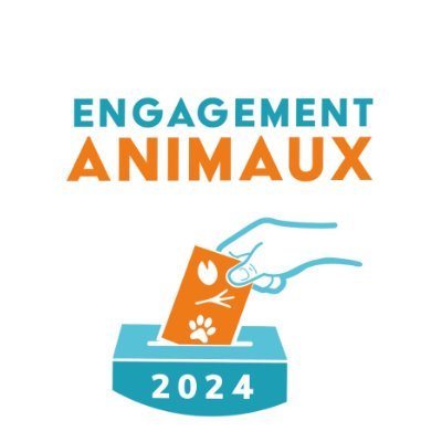 29 ONG de protection animale réunies pour inciter les candidats aux #Européennes2024 à s’engager en faveur des #animaux 🇫🇷🗳