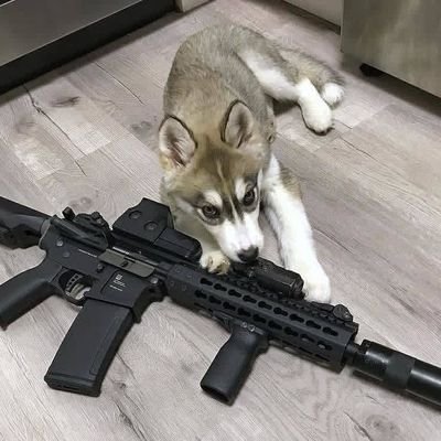 Anti-chairos. Nueva cuenta, la anterior fue eliminada. (AIC)🕵️🫥.Exsicario, nahual y líder de la michiliga.🙂↔️