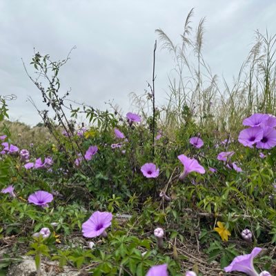 super_sir668's profile picture. 