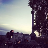 Zoe Gardner (@drzoegardner) 's Twitter Profile