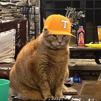 Waytiator (@waytiator) 's Twitter Profile