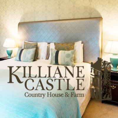 killianecastle Profile Picture