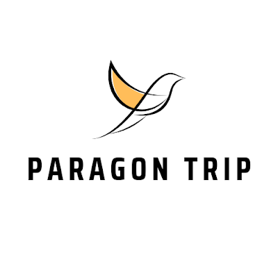 ParagonTrip Profile Picture