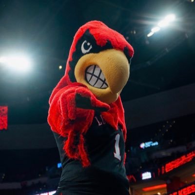 Official Mascot of the University Of Louisville | Welcome to Louie-Ville #GoCards