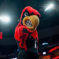 LouieTheCardinal(@Louie1C4) 's Twitter Profile Photo