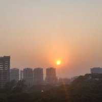 Sudipto Roy (@sudrani8855) 's Twitter Profile