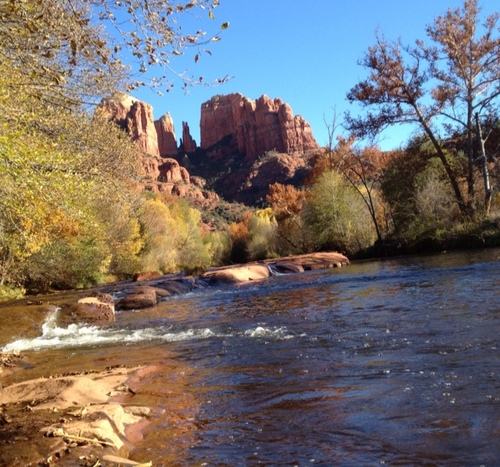 cocokeikei's profile picture. 