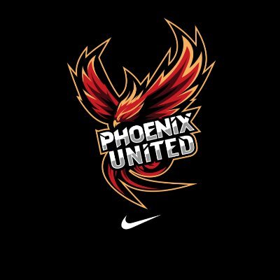 Arizona’s Newest Nike Team | Member of #THEBrotherhood @arizona_unity | Nike Champions League @nikeeyb #nikebasketball