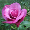 Mary Ellen Spence - @mespencecols - Twitter