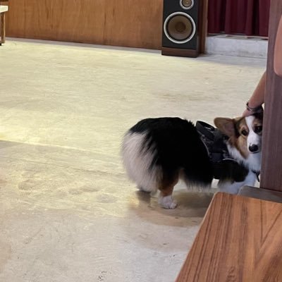 Chwan4s's profile picture. 