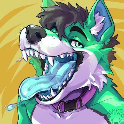 ░W░A░G░I░N░B░I░O░
23 | He/Him | Gay ass | 🔞No minors please🔞 | Green Wusky, Waffle| ESP/ENG | Will probably wag excitedly