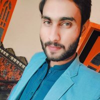 Muhammad Hasnain (@mepakistanhon) 's Twitter Profile