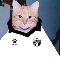 Gato ✝️(@GatoGOAT) 's Twitter Profile Photo