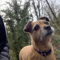 gerry_gently (@gerrygently) 's Twitter Profile Photo gerry_gently (@gerrygently) 's Twitter Profile Photo