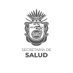 Salud Guerrero (@SSaludGro) Twitter profile photo